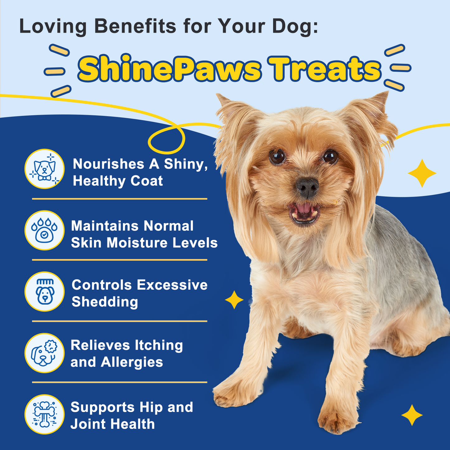 Omega 3 Fish Oil Chews for Dogs – Skin & Coat + Itch Relief, 120ct