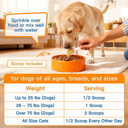 Pumpkin for Dogs and Cats, Powder Pumpkin Puree, Natural Fiber for Dogs, Support Digestion, Diarrhea, Constipation, 60 Scoops