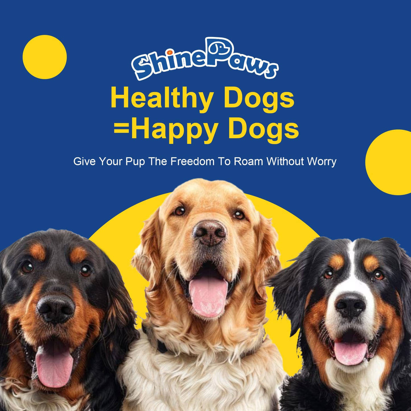 Omega 3 Fish Oil Chews for Dogs – Skin & Coat + Itch Relief, 120ct