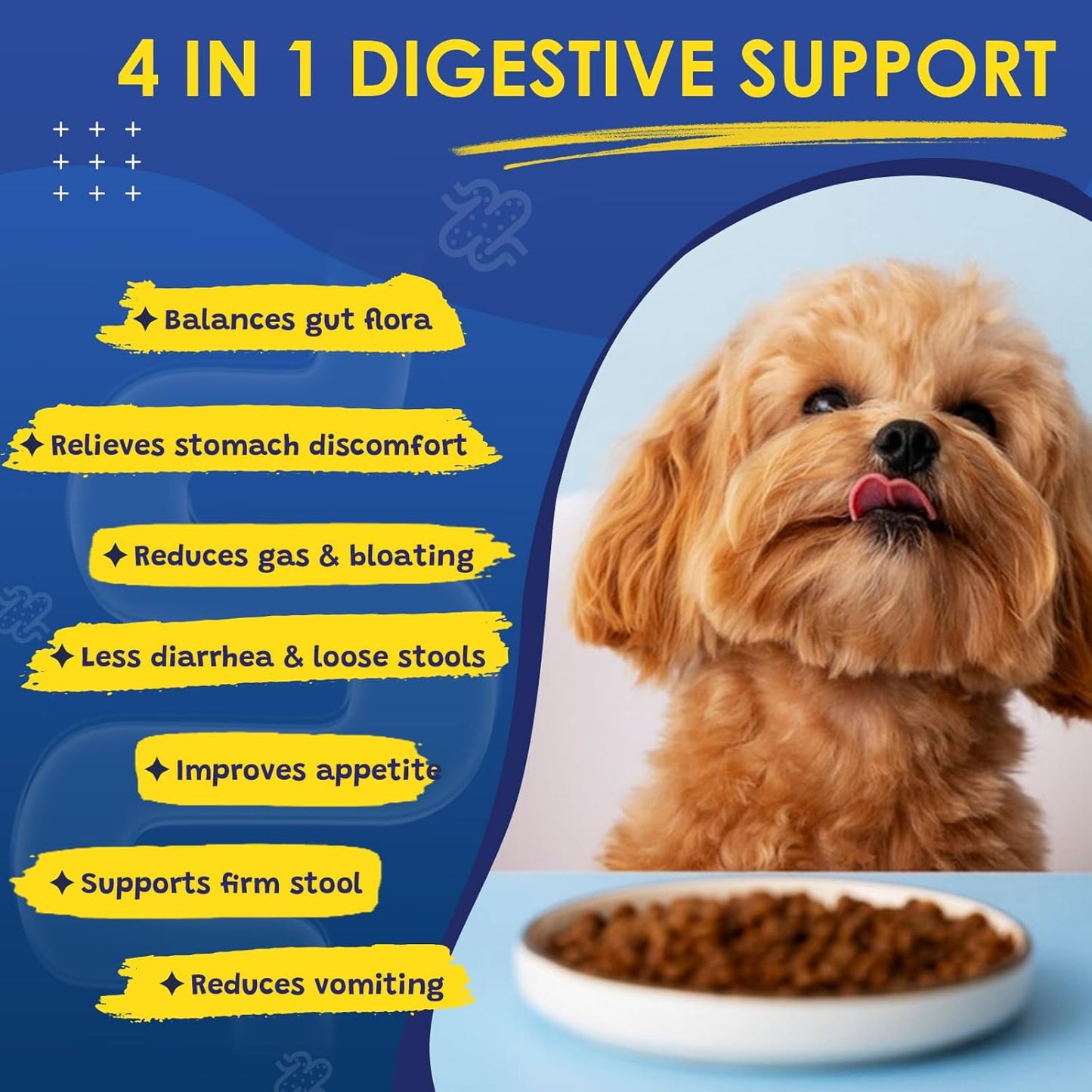 Dog Probiotics Provides 4-in-1 Digestive Support