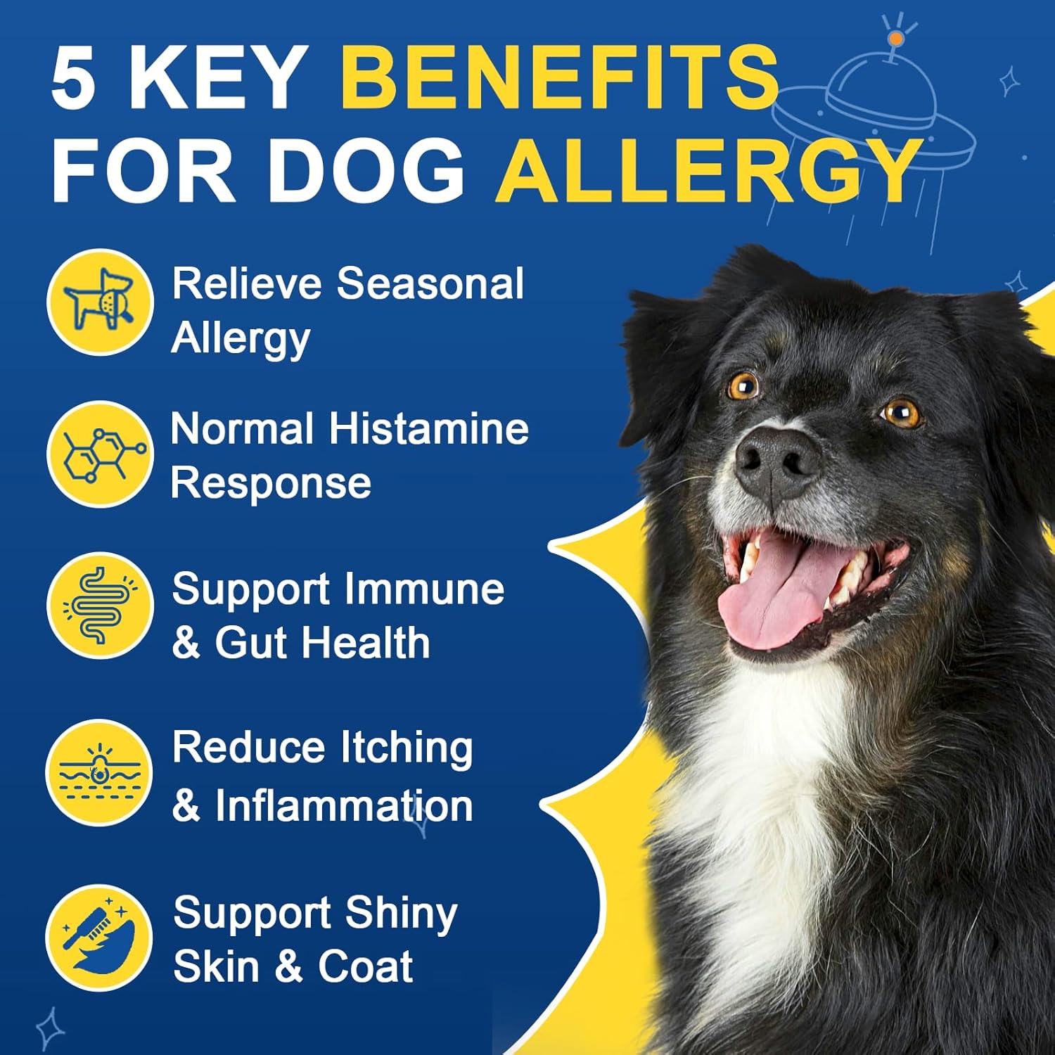 Benefits of Dog Allergy Relief Chews