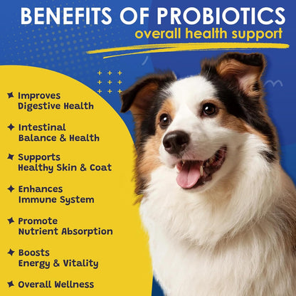 The benefits of probiotics for dogs