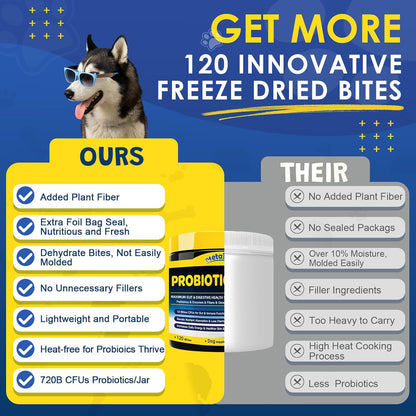 Advantages of SHINEPAWS Dog Probiotics