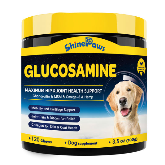 Glucosamine for Dogs